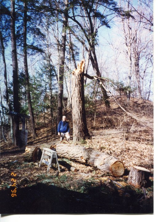 Ted Shaw by Fallen Tree 1996